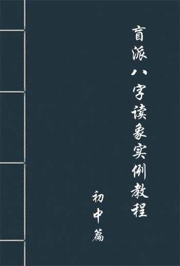 盲派八字读象实例教程系列初中篇pdf电子书