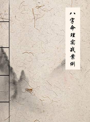 白龙老师八字命理实战案例分析集