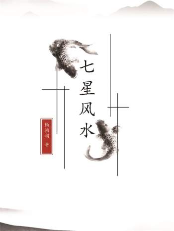 杨鸿利 民间风水绝技《七星风水》水法94页 pdf电子书