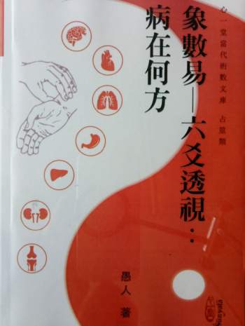 愚人著《象数易——六爻透视：病在何处》PDF