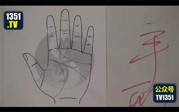 国学大师倪可亲授神奇的掌纹手相速成视频+手面视频课程