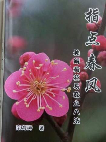 独解梅花易数之八法 《指点春风》栾海涛 拍照版PDF