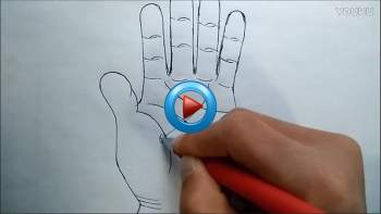 淮海道长看手相视频全集53集