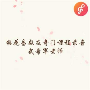 武希军老师梅花易数及奇门面授全程录音加笔记