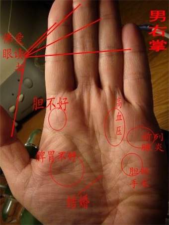 南海相学（图）+南海手纹正向A流年法文档
