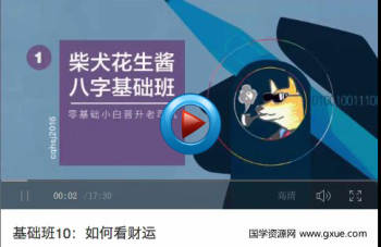 柴犬花生酱八字基础课