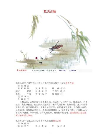 王牧夫大六壬占案例集全本28页