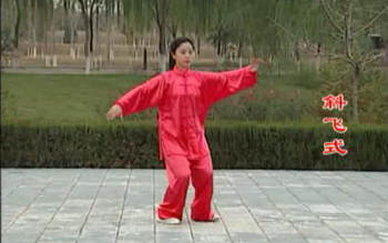 各式太极拳教学视频合辑13.9GB