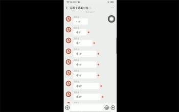 清家门符配药秘法50套（含录音+图片）