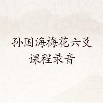 孙国海中高级梅花六爻培训等课程录音72集