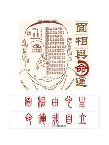 麦玲玲面相讲座-面相先生相学资料汇编31页
