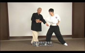 徐纪八极拳《八极惊雷》14集视频百度网盘分享