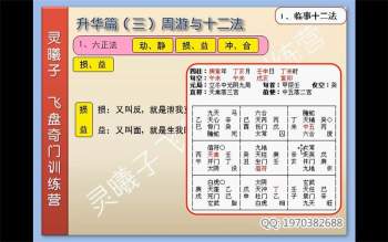 灵曦子飞盘奇门训练营升华篇、运用篇、筑基篇视频28集