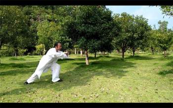 许微含道长《武当太乙绵掌》教学视频24集