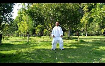 许微含道长《武当太乙逍遥掌》教学视频29集