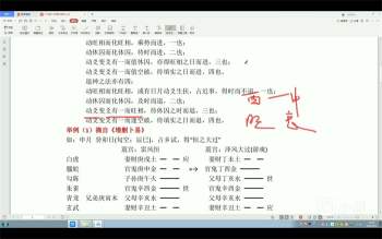 林来锦2020年六爻占卦理法课程视频22集+文档