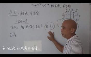 周锦伦杨公三合风水内部视频课程53集