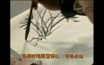 吴蓬芥子园视频92集