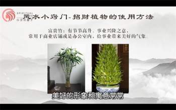 云度老师家居风水15天网络视频课程+作业