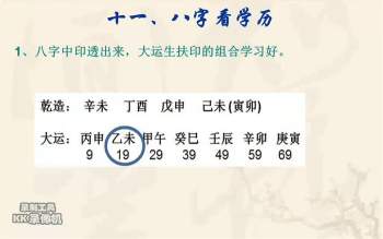 宋国元八字基础教学视频+教学案例等91集