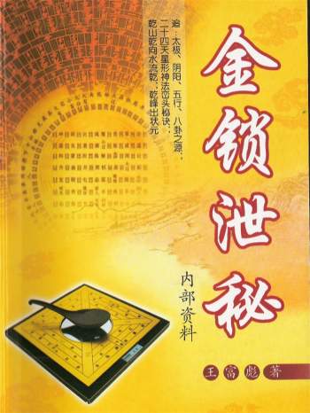 王富彪《金锁泄密》278页PDF电子书