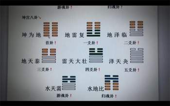 王政《皇极梅花六爻基础课程》视频23集