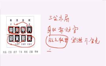 曾勇曾氏易学四柱高级课程50集+文档资料