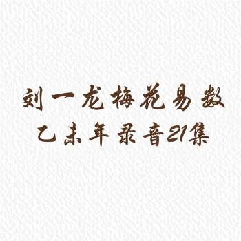 刘一龙老师2015乙未年梅花易数录音21集