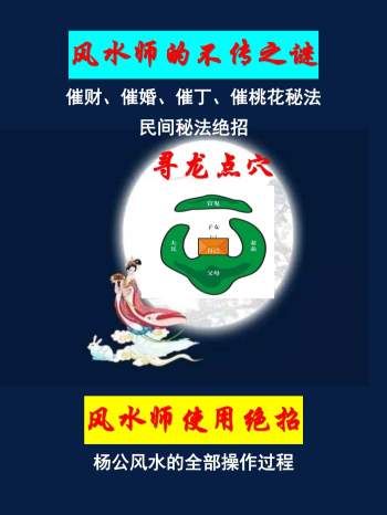 风水师的不传之谜《风水师使用绝招》1054页