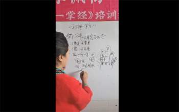 李佩袀达摩一掌经培训视频47集+精修班12集