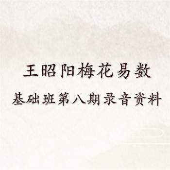 王昭阳 梅花易数基础班第八期录音资料等