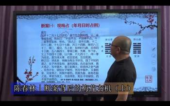 陈春林老师《故宫珍藏梅花易数点窍》视频共13集（约10小时）