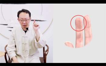 陈仲易说手相一阶、二阶共12集约7.5小时