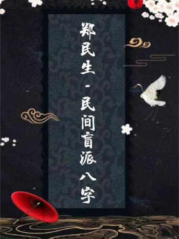 郑民生 民间盲派八字《笔记合集》505页