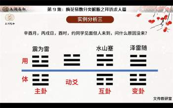 徐丙昕梅花易数中级课程视频12集约5小时