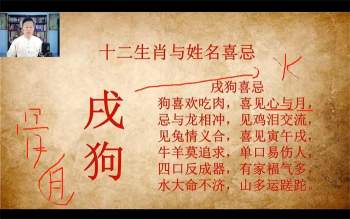 程传明《仓颉姓名学》初级2集+高级5集视频