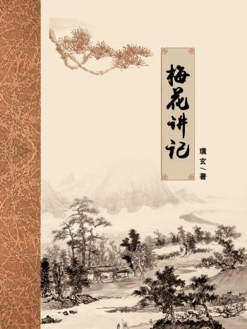 璞玄老师 金口透易梅花占课程记录《梅花讲记》393页高清