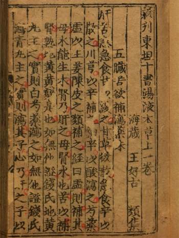 中医古籍《新刊东垣十书汤液本草》二卷