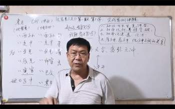 杨忠易六爻预测学基础及实战共22集视频