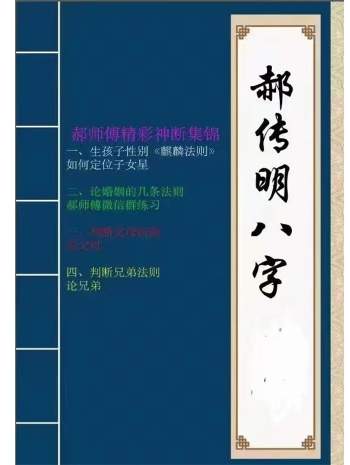 郝传明盲派八字子女婚姻父母兄弟实战案例集锦113页