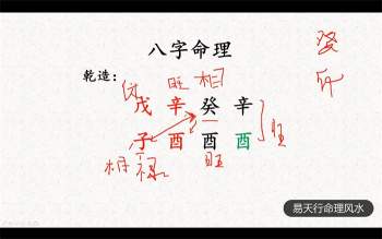 易天行老师八字命理课程视频18集