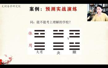文玥梅花易数视频课程20集