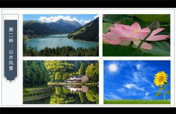 鼎迦微信头像预测 15集视频