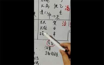 飞鱼2022年高级弟子进阶外盘合集+外盘（进阶班，弟子班）