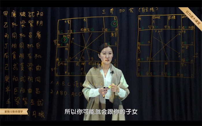 飞星紫微斗数-国学资源网