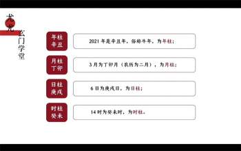 尤尤四柱八字专业课视频20集