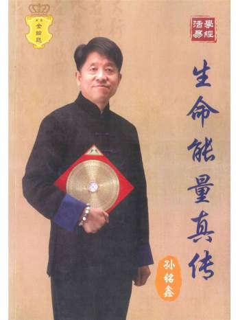 孙铭鑫著《生命能量真传》310页