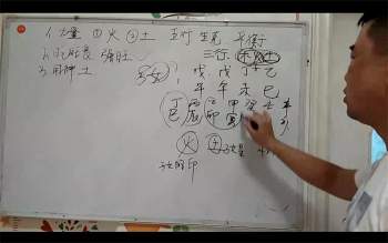 白贵军传统八字基础到高级视频课程33集