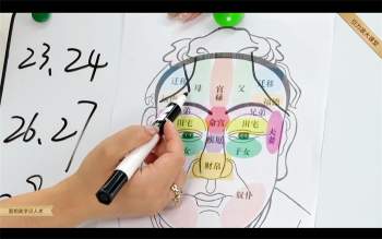 美伢老师《面相美学识人术——看面相识人心》视频40集