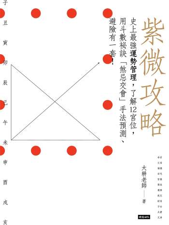 大耕老师紫微斗数书籍《紫微攻略1》316页
